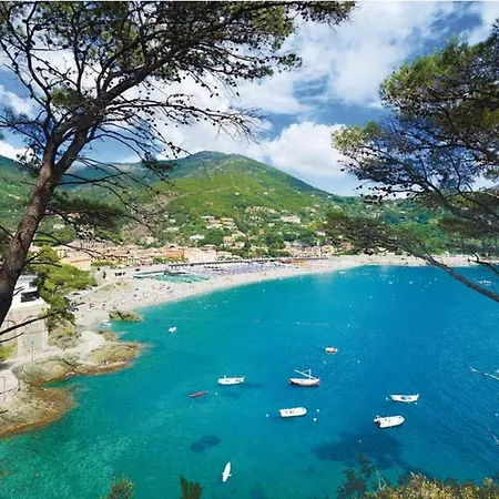 Villa Entire With Pool In Cinque Terre No001 *