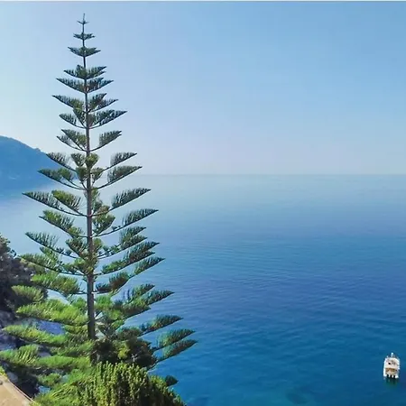 Villa Entire With Pool In Cinque Terre No001 *